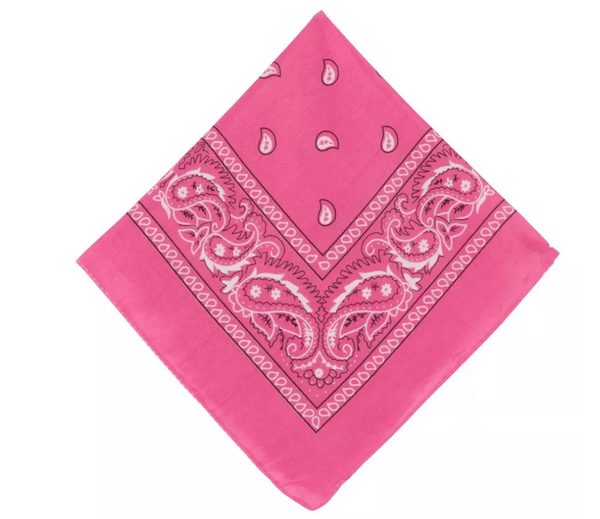 Pink Paisley Bandana, 20in x 20in USA Party Store