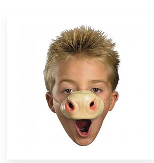 Cow Nose