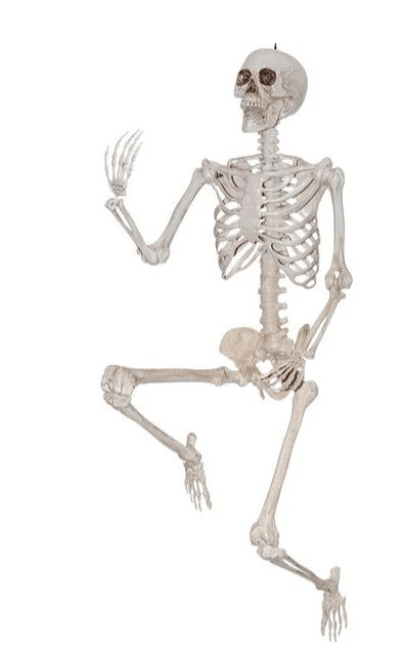 Life-Size Poseable Skeleton, 5ft - Halloween Decoration Amscan