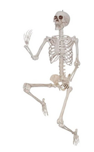 Life-Size Poseable Skeleton, 5ft - Halloween Decoration