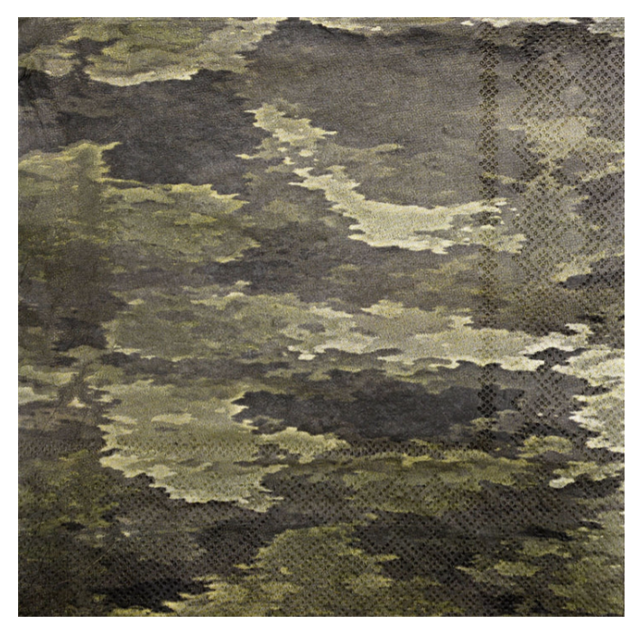 Camo Lunch Napkins Havercamp