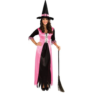 Charming Witch Woman's Adult costume