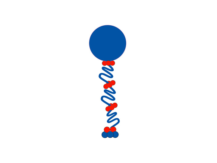 Curly Balloon Column *** Pick-up or Delivery only *** USA Party