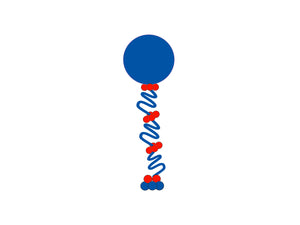 Curly Balloon Column  *** Pick-up or Delivery only *** - USA Party Store