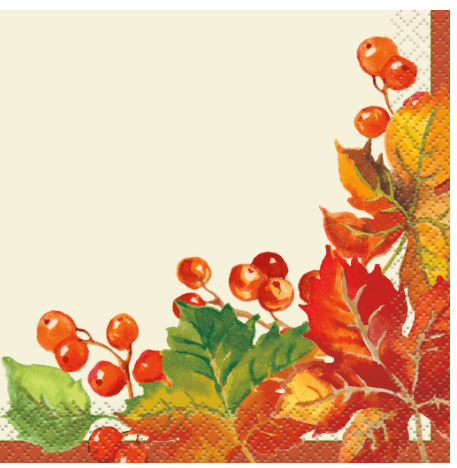 Berries & Leaves Fall Napkins 16 count USA Party Store