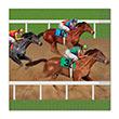 Horse Racing Luncheon Napkins Derby - USA Party Store