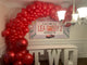 Organic Balloon Arch - Balloon Garland - USA Party Store