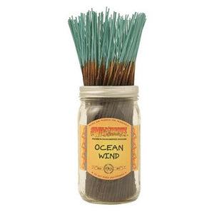 Incense - Ocean Wind - USA Party Store