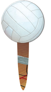 Volleyball Party Picks - USA Party Store