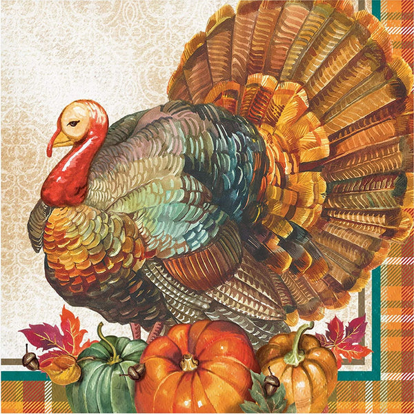 Traditional Thanksgiving Lunch Napkins 16 ct USA Party Store